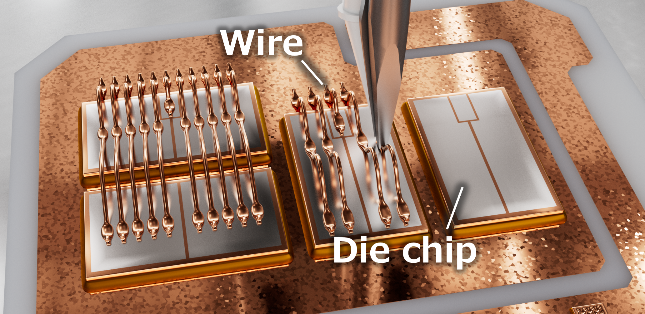 Wire検査/Die Chip検査